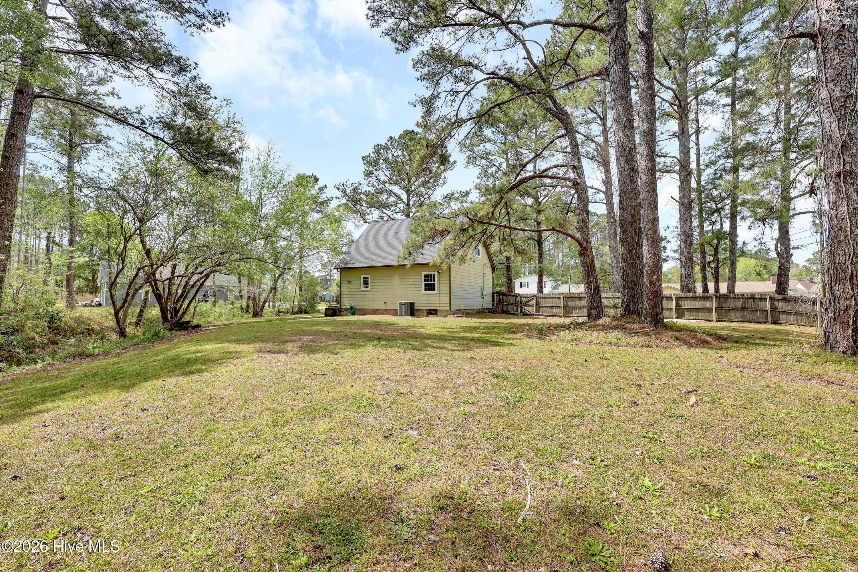 100564655 | Photo 30