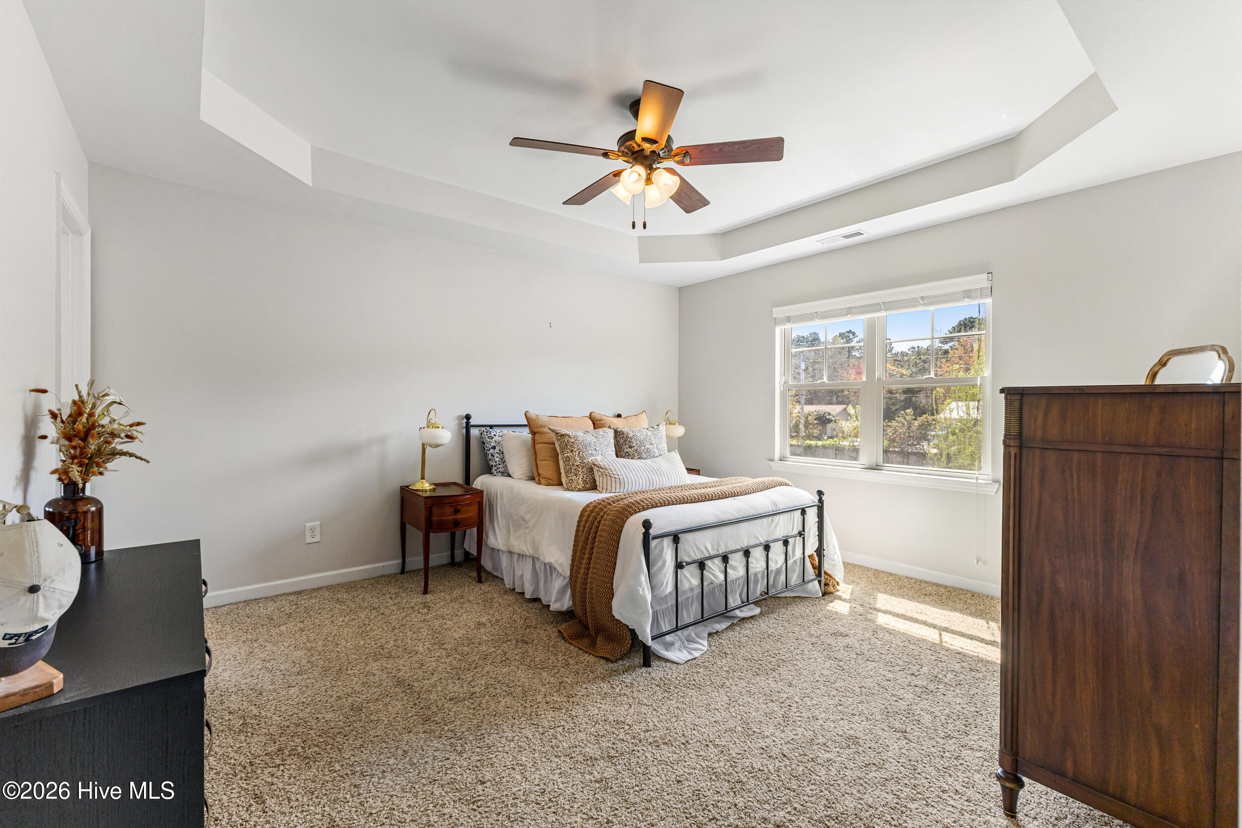 100563533 | Photo 16