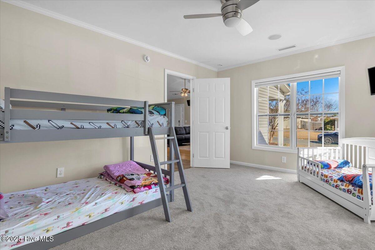 100546771 | Photo 27