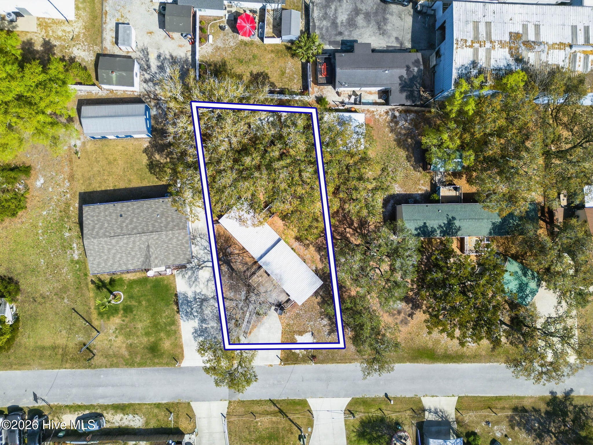 100564945 | Photo 29