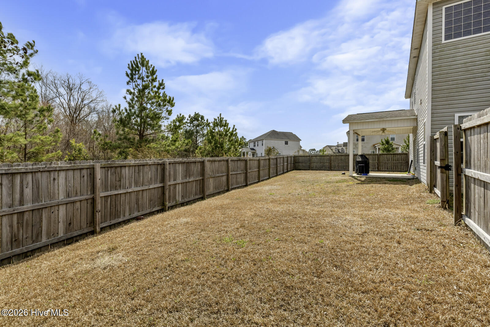 100558564 | Photo 27