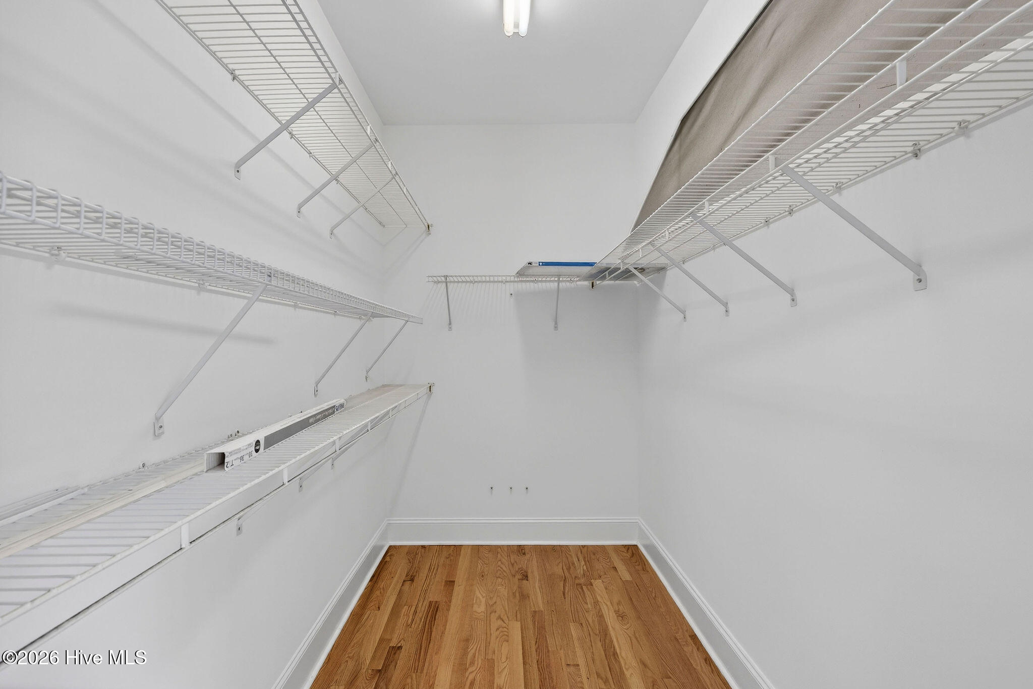 100551294 | Photo 15