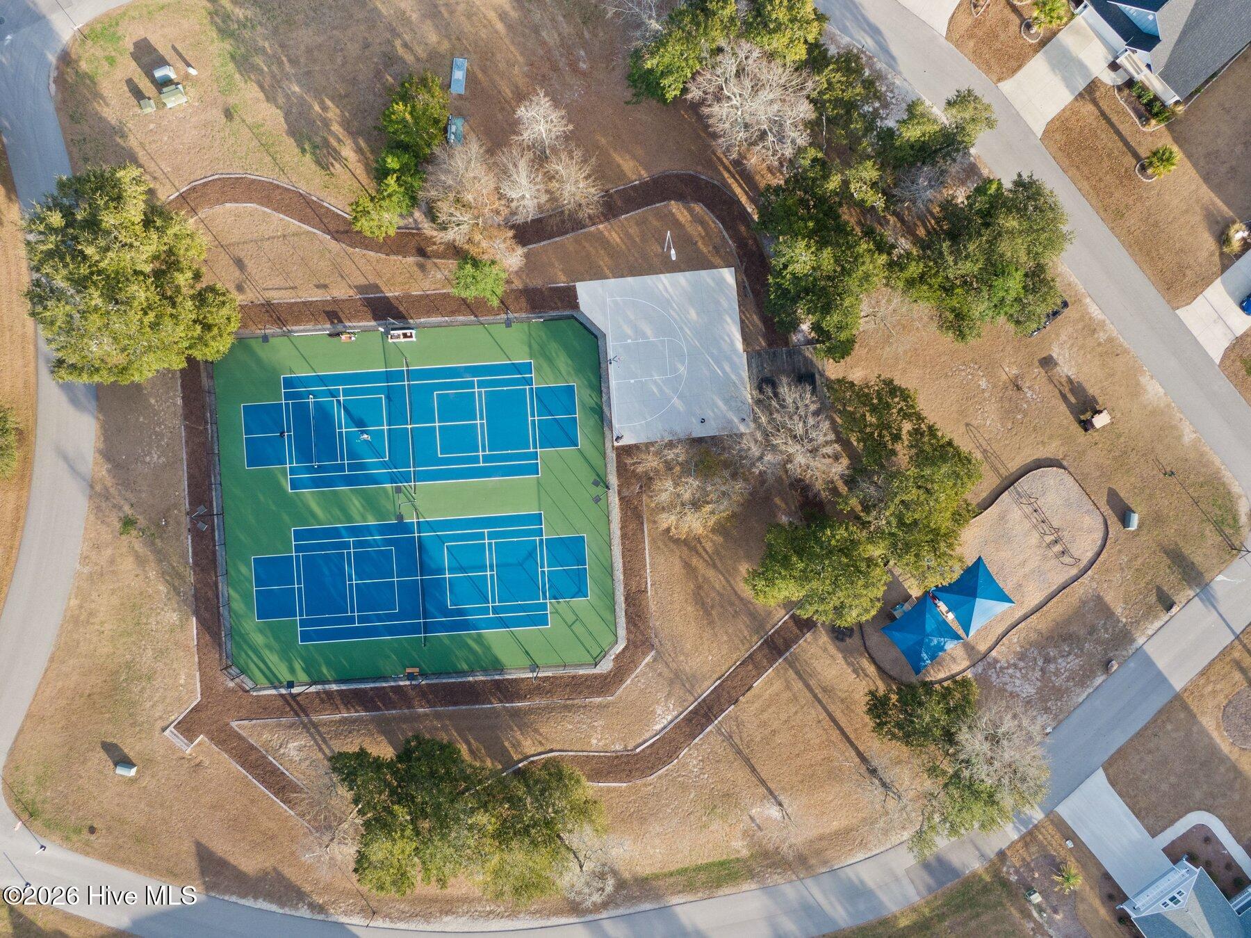 100558879 | Photo 51