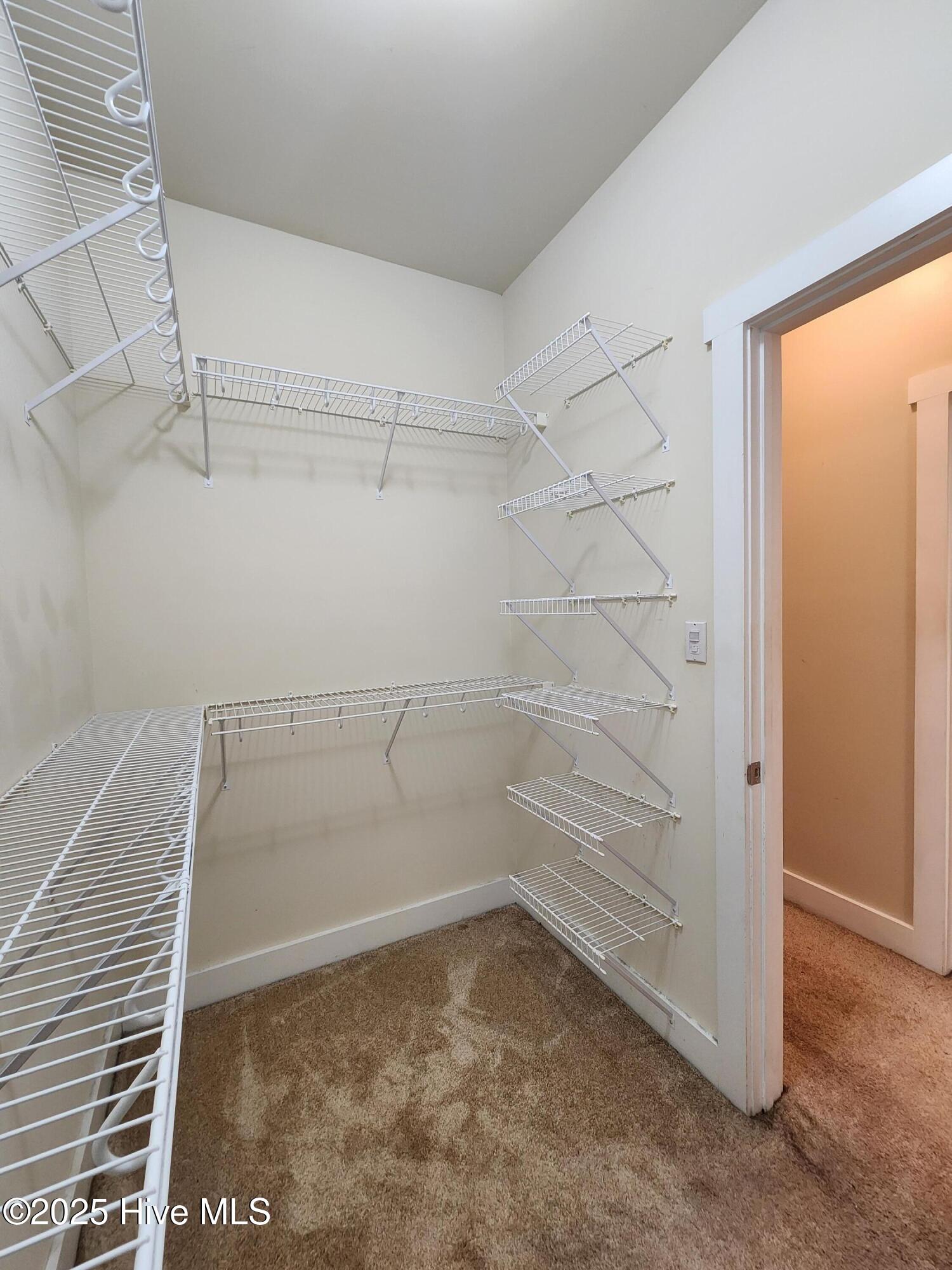 100569156 | Photo 34