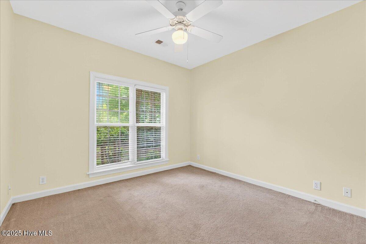 100519877 | Photo 35