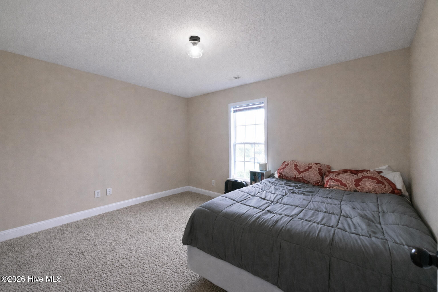 100562387 | Photo 29