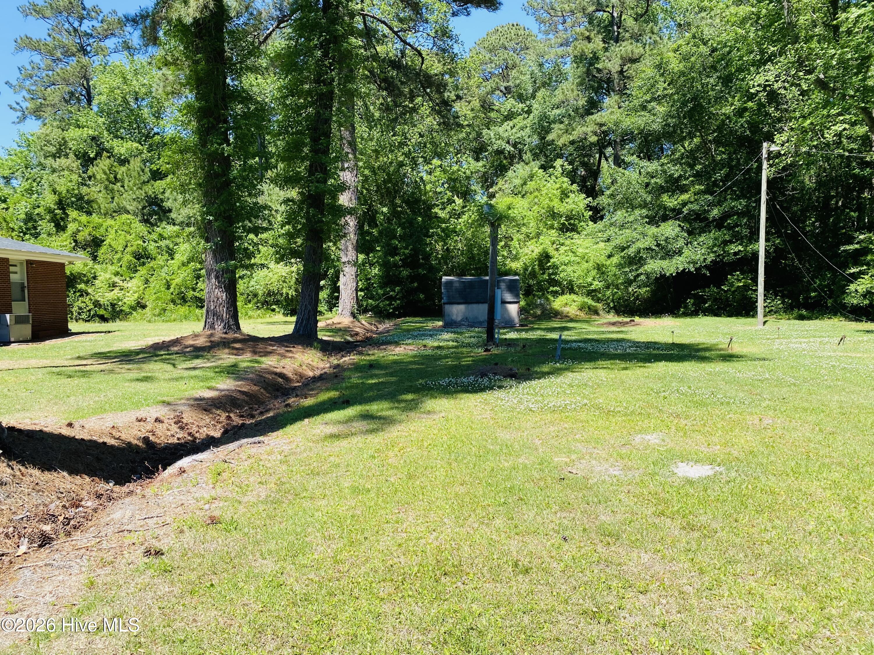 100569666 | Photo 15