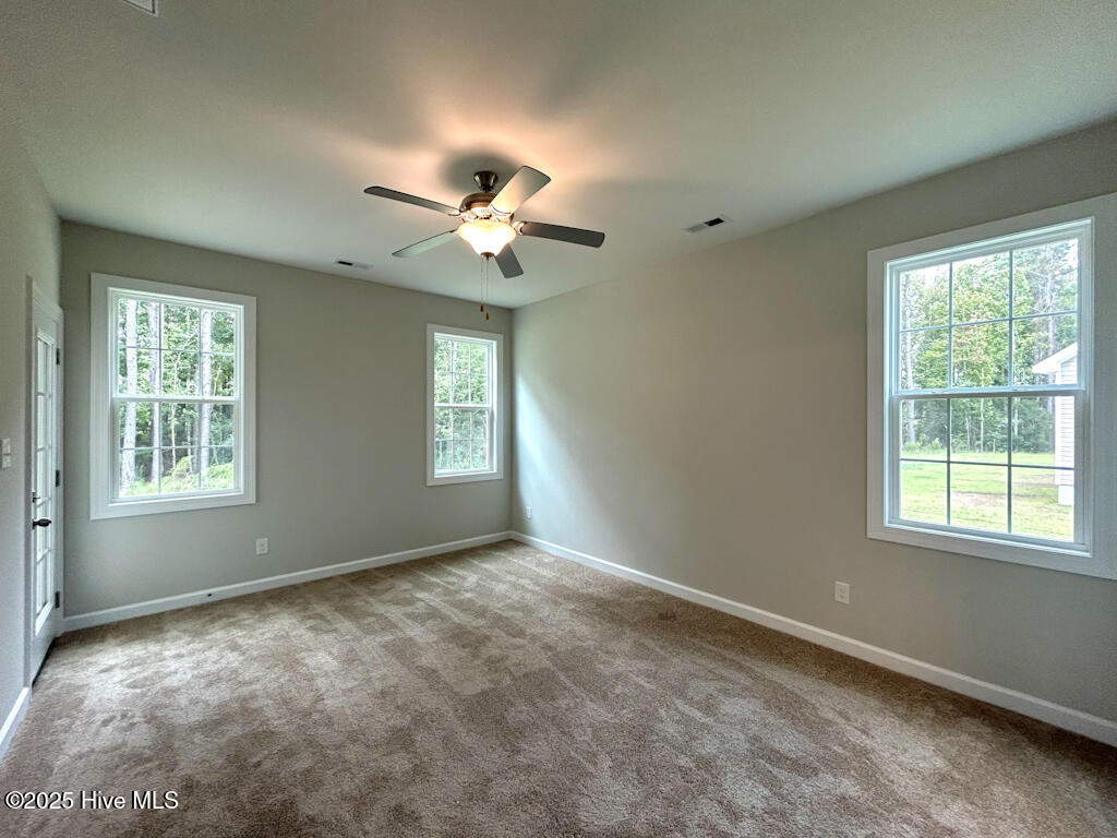 100513411 | Photo 41