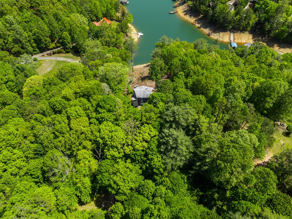 87 Snowbird Lane, Murphy, NC 28906 Listing Photo  83