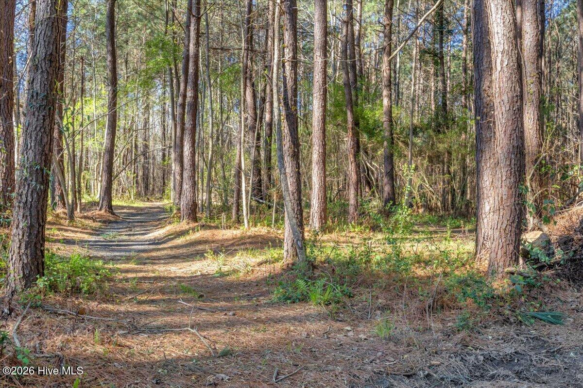 100561788 | Photo 81