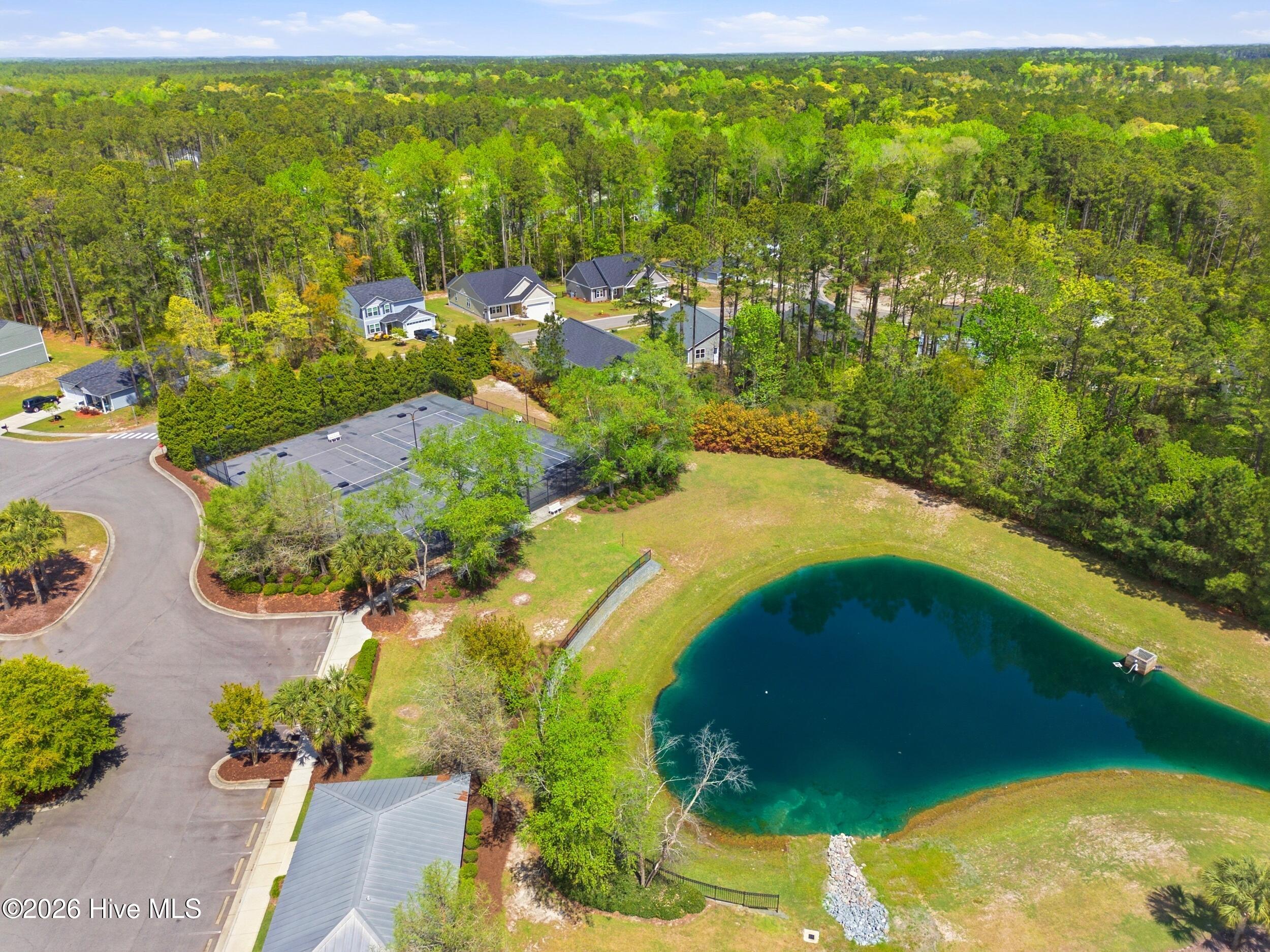 100565948 | Photo 46