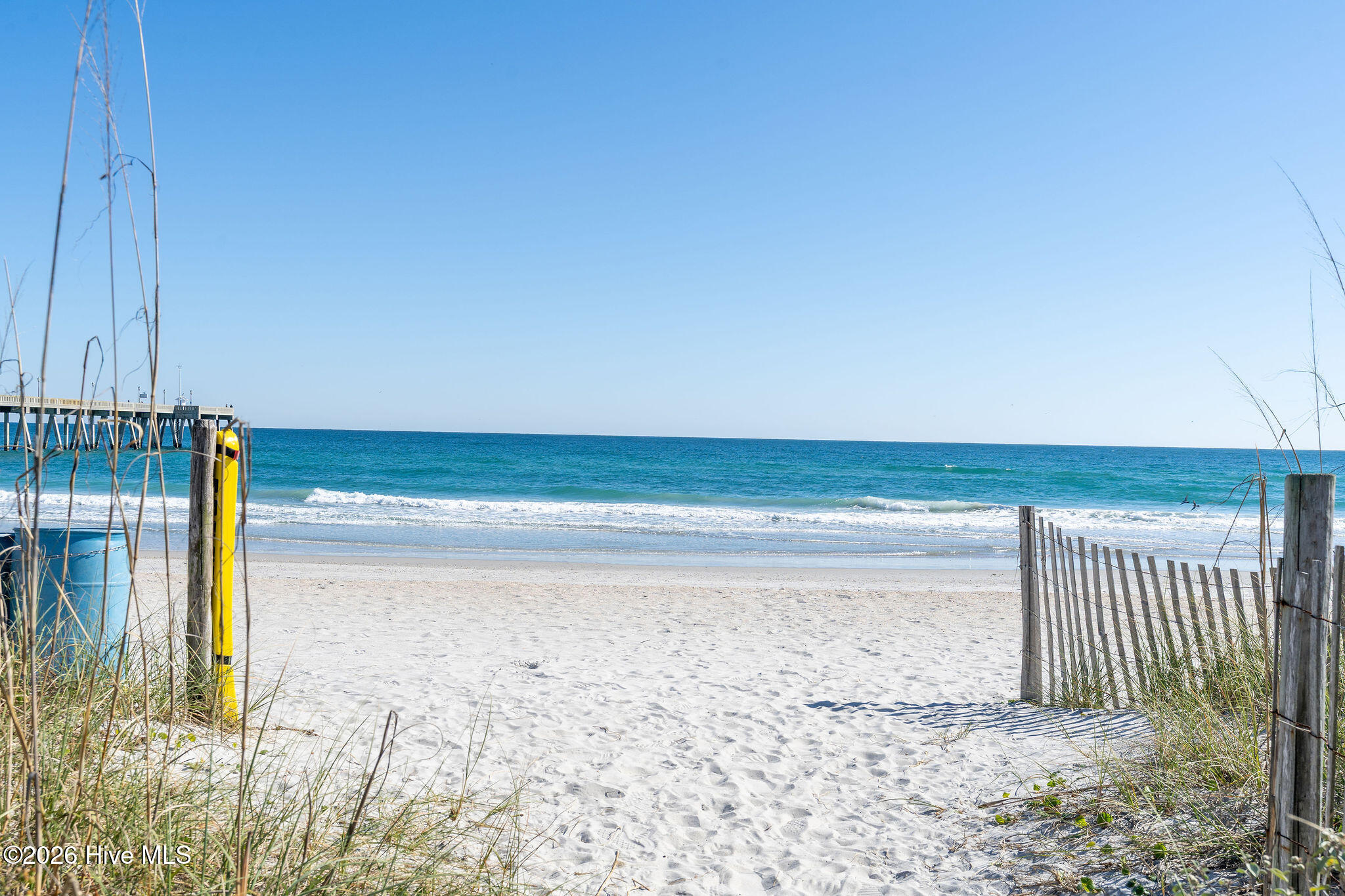 100553604 | Photo 101