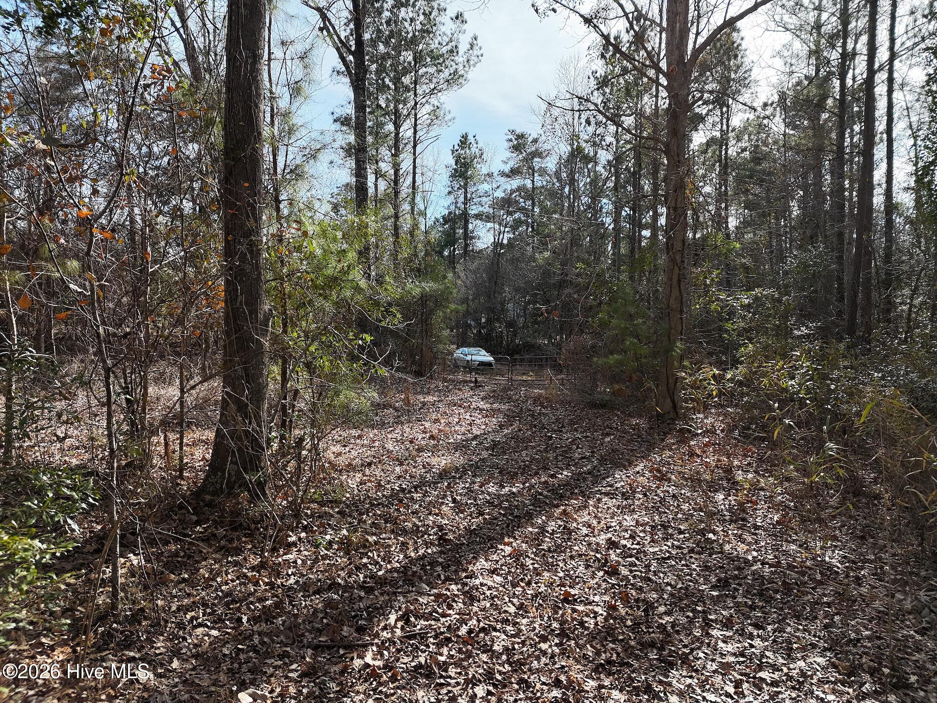 100556316 | Photo 10