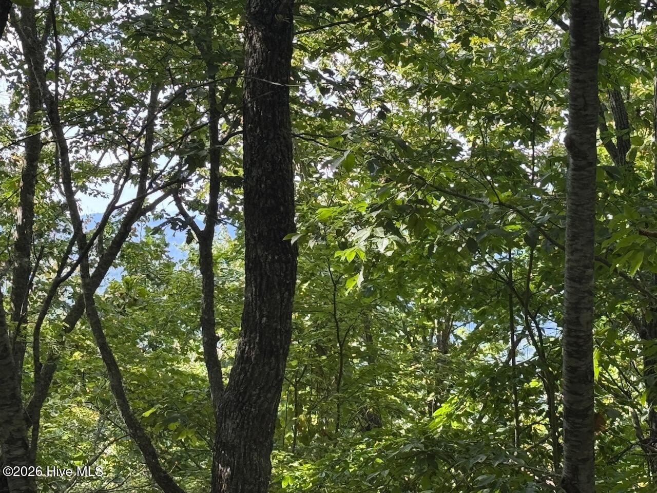 100602730
