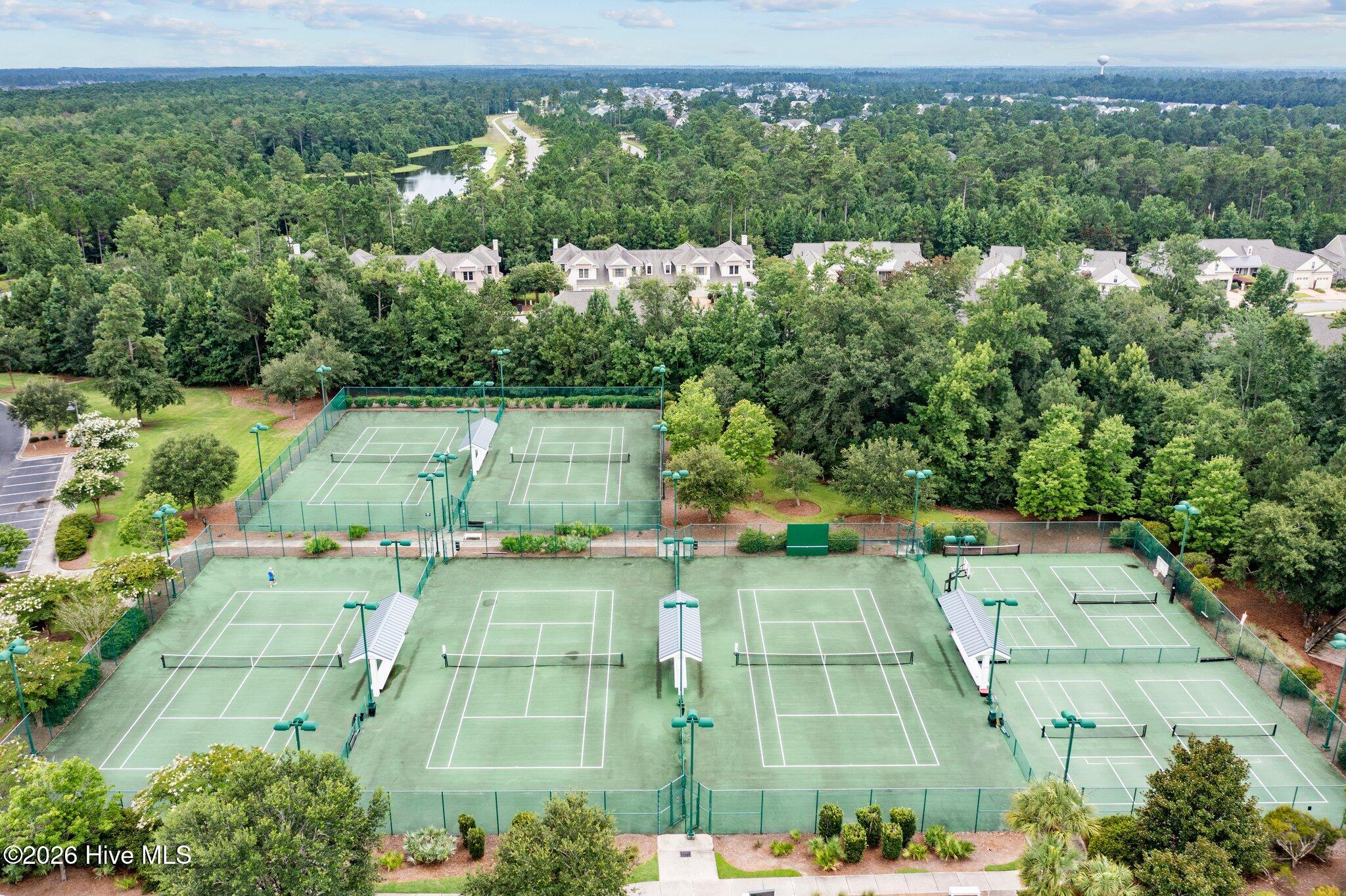 100564215 | Photo 88