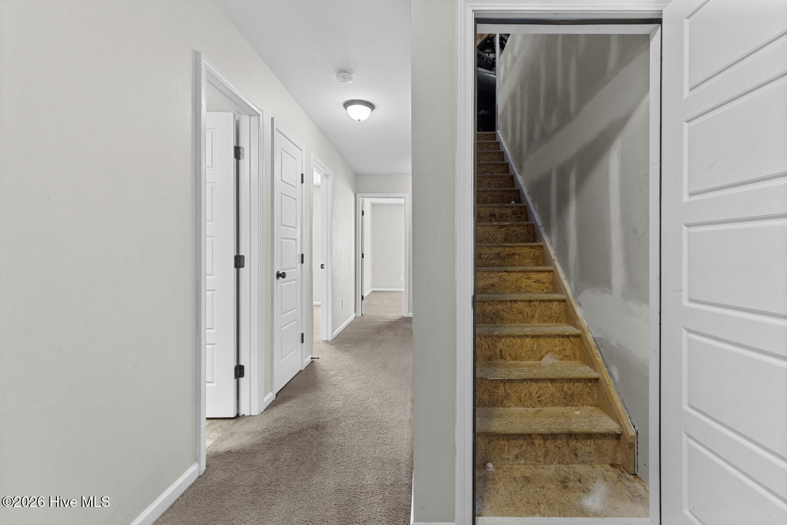 100556898 | Photo 26