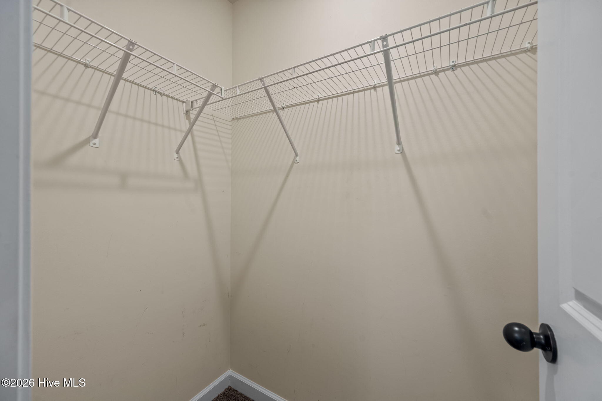 100547902 | Photo 29