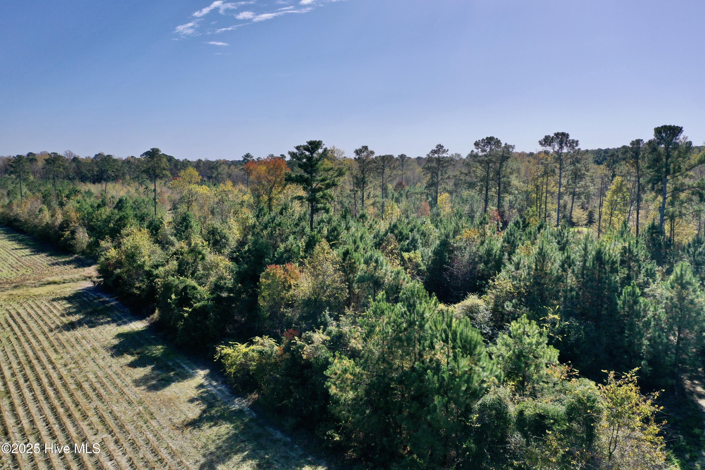 100541845 | Photo 23