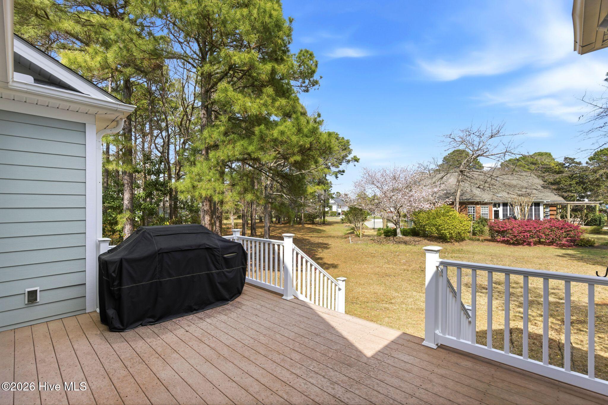 100564231 | Photo 61