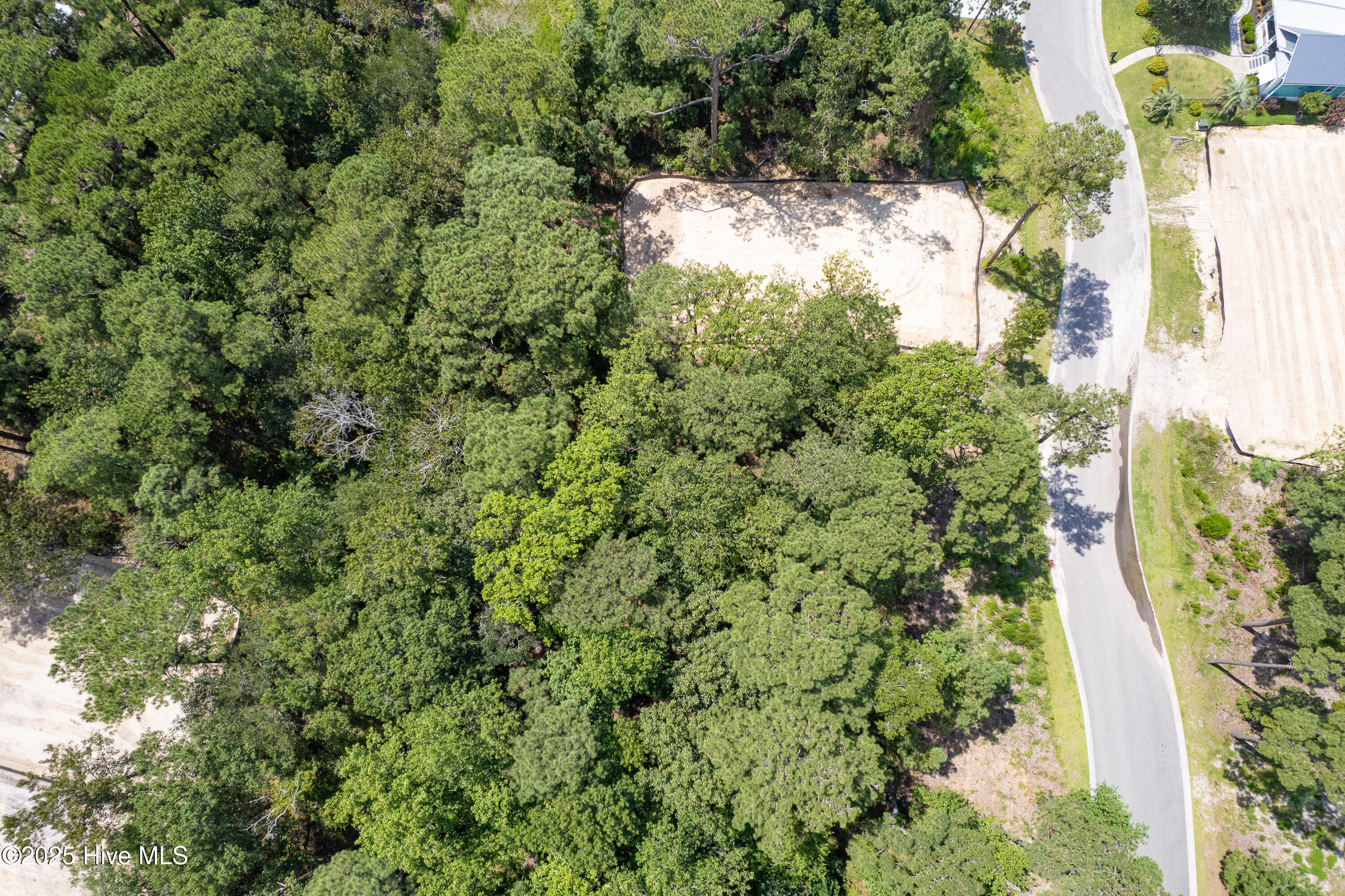 100525584 | Photo 17