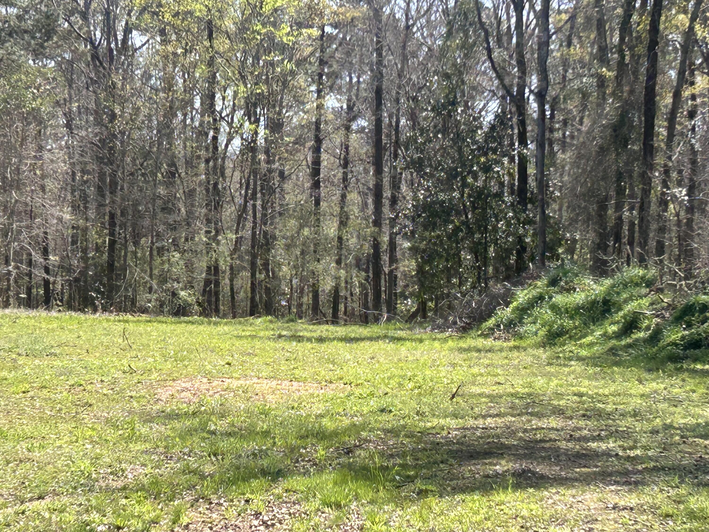 Homes for sale in Thomson, GA | 5824 Ne Lincolnton Rd, Thomson, GA 30824 | MLS# 553567