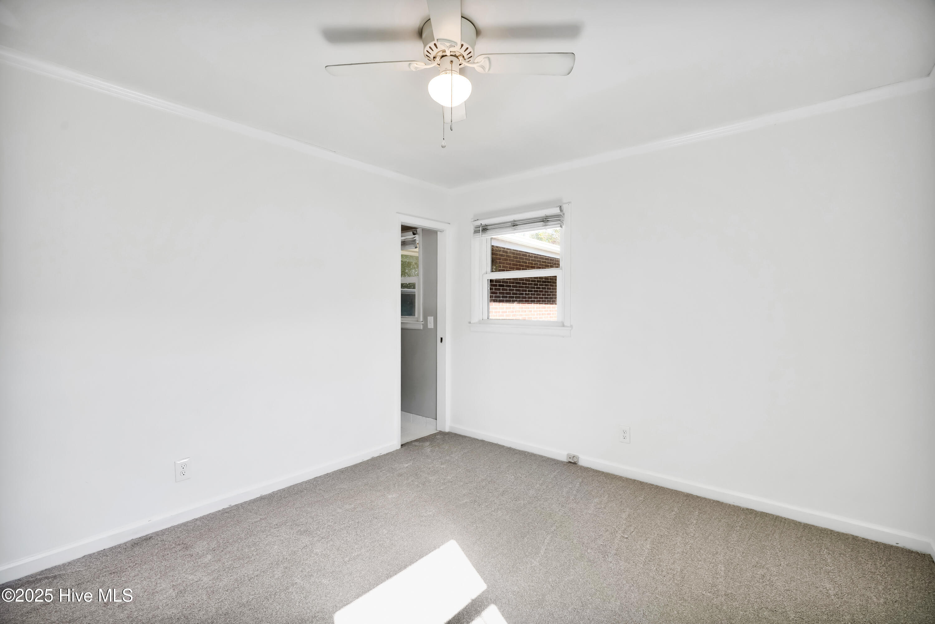 100539794 | Photo 29