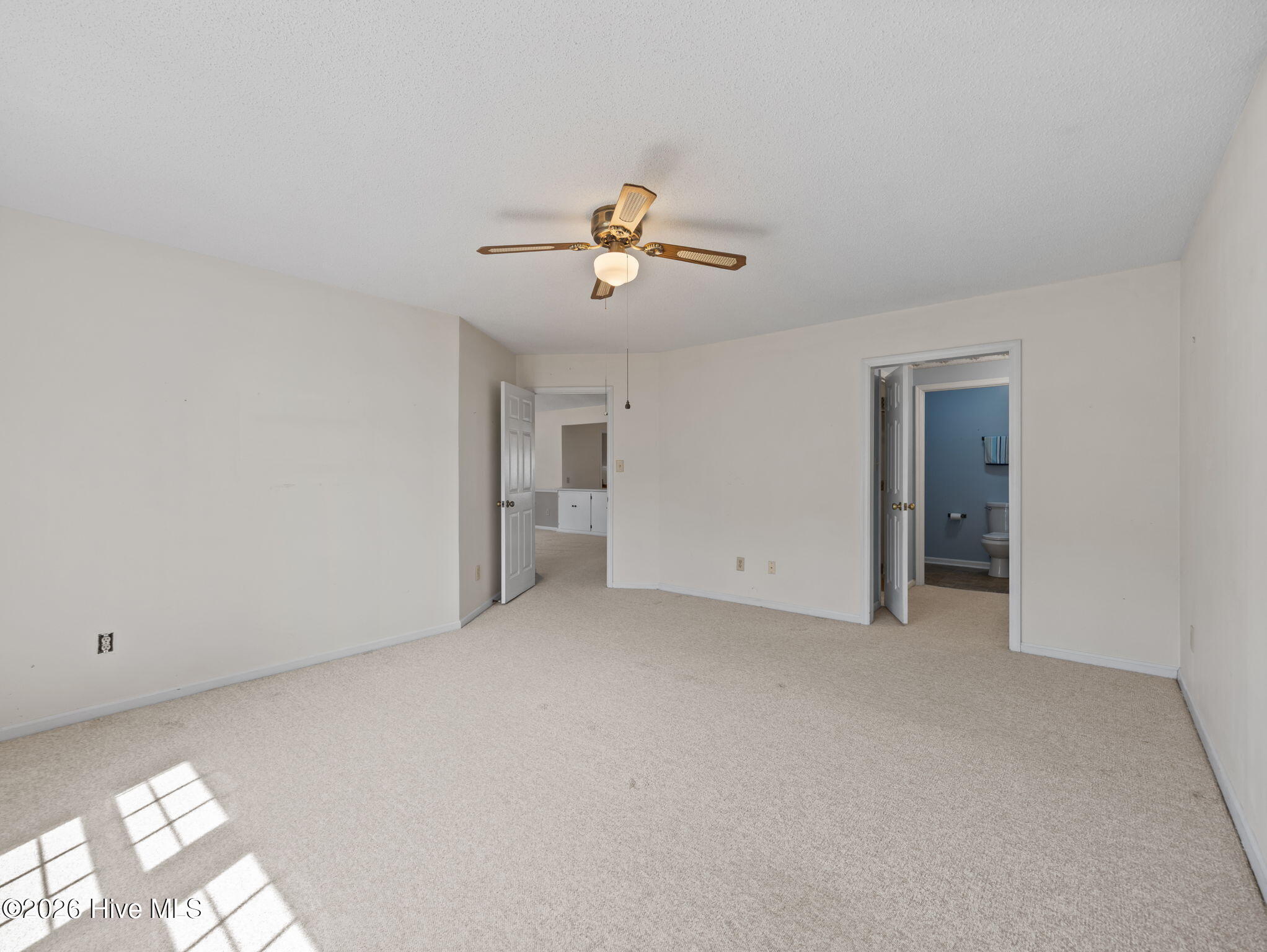 100565742 | Photo 23