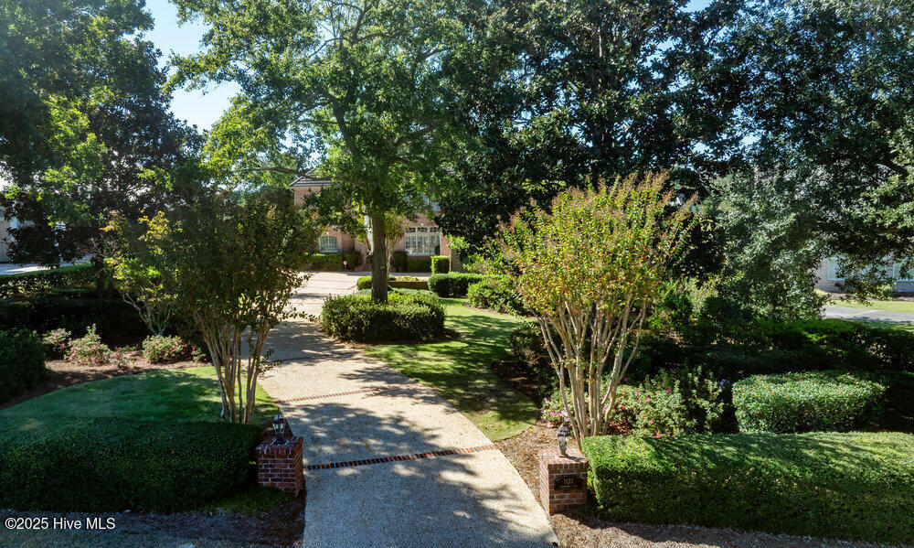 100555376 | Photo 53