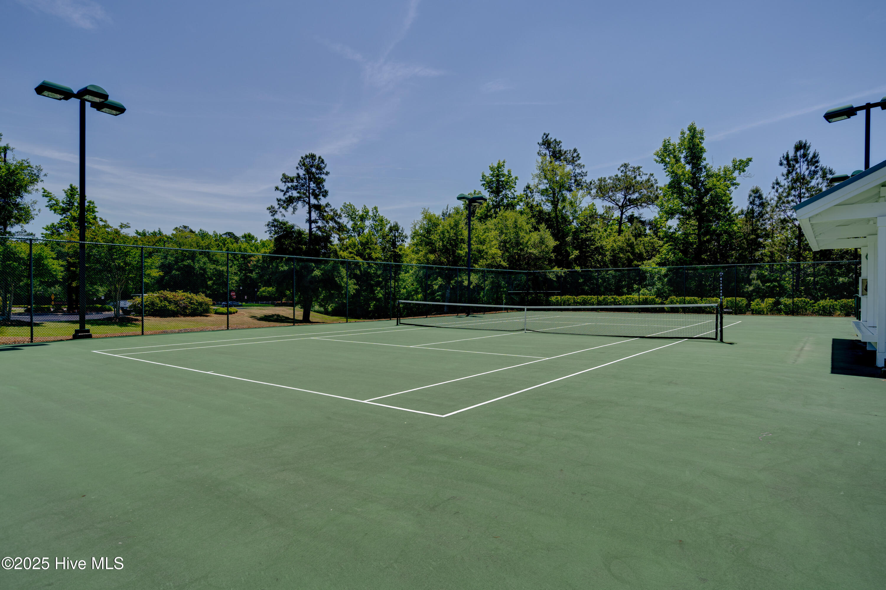 100547164 | Photo 79