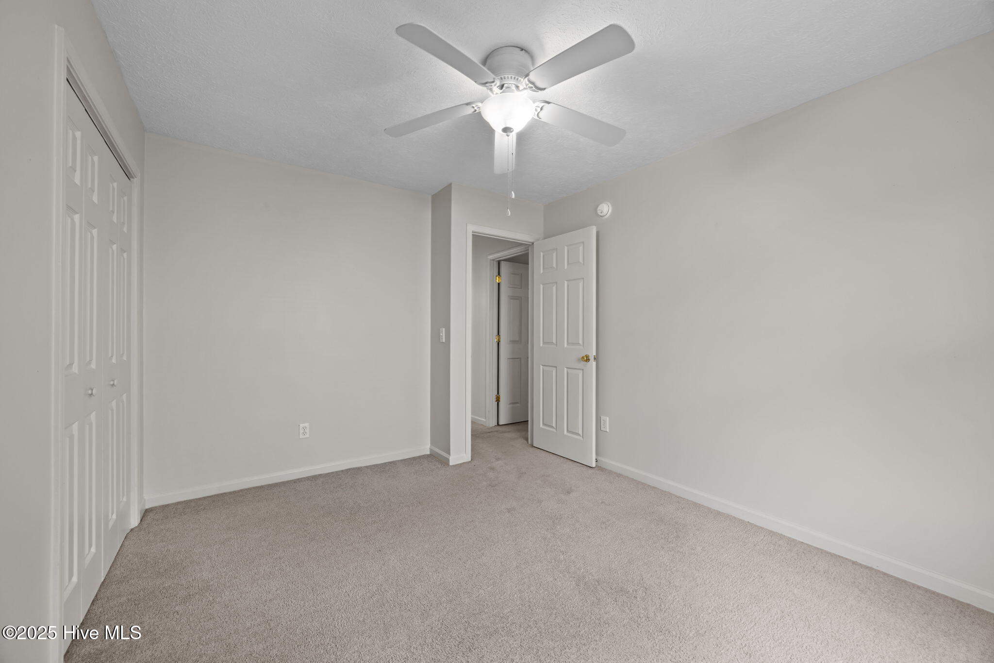 100522704 | Photo 17