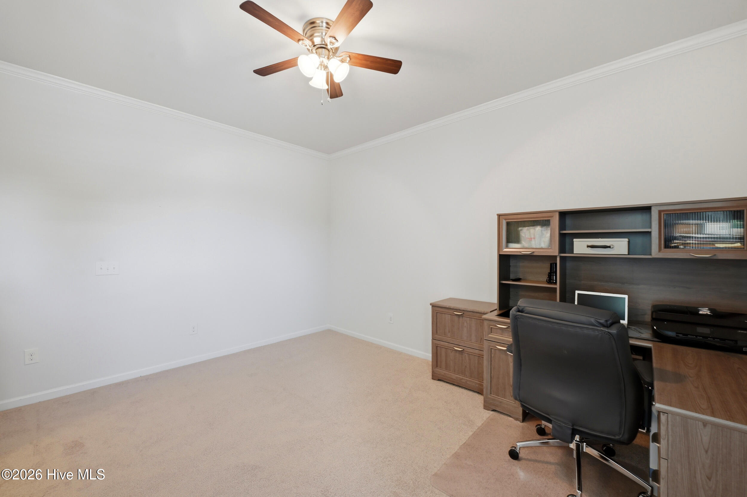 100565292 | Photo 30