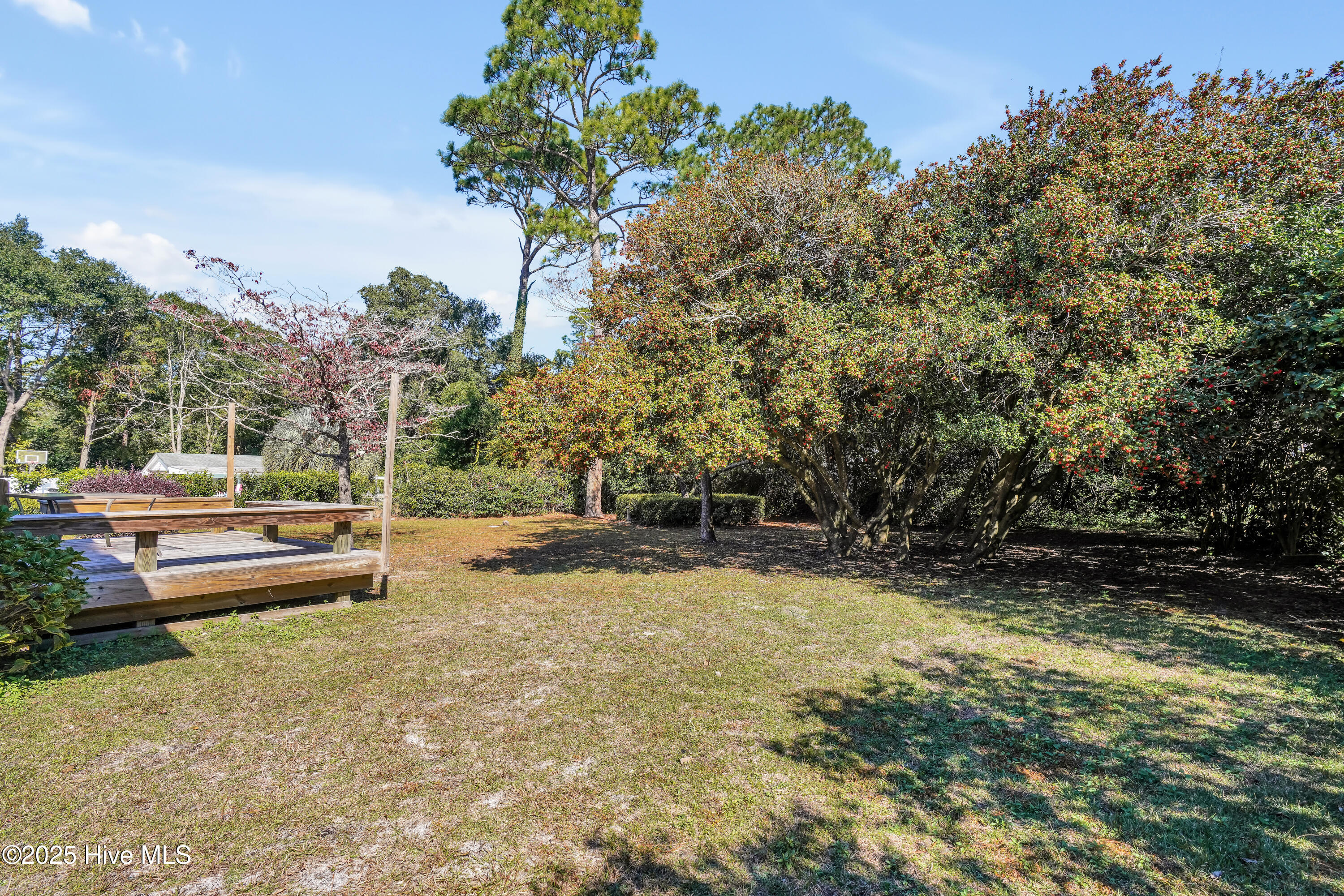 100539794 | Photo 35