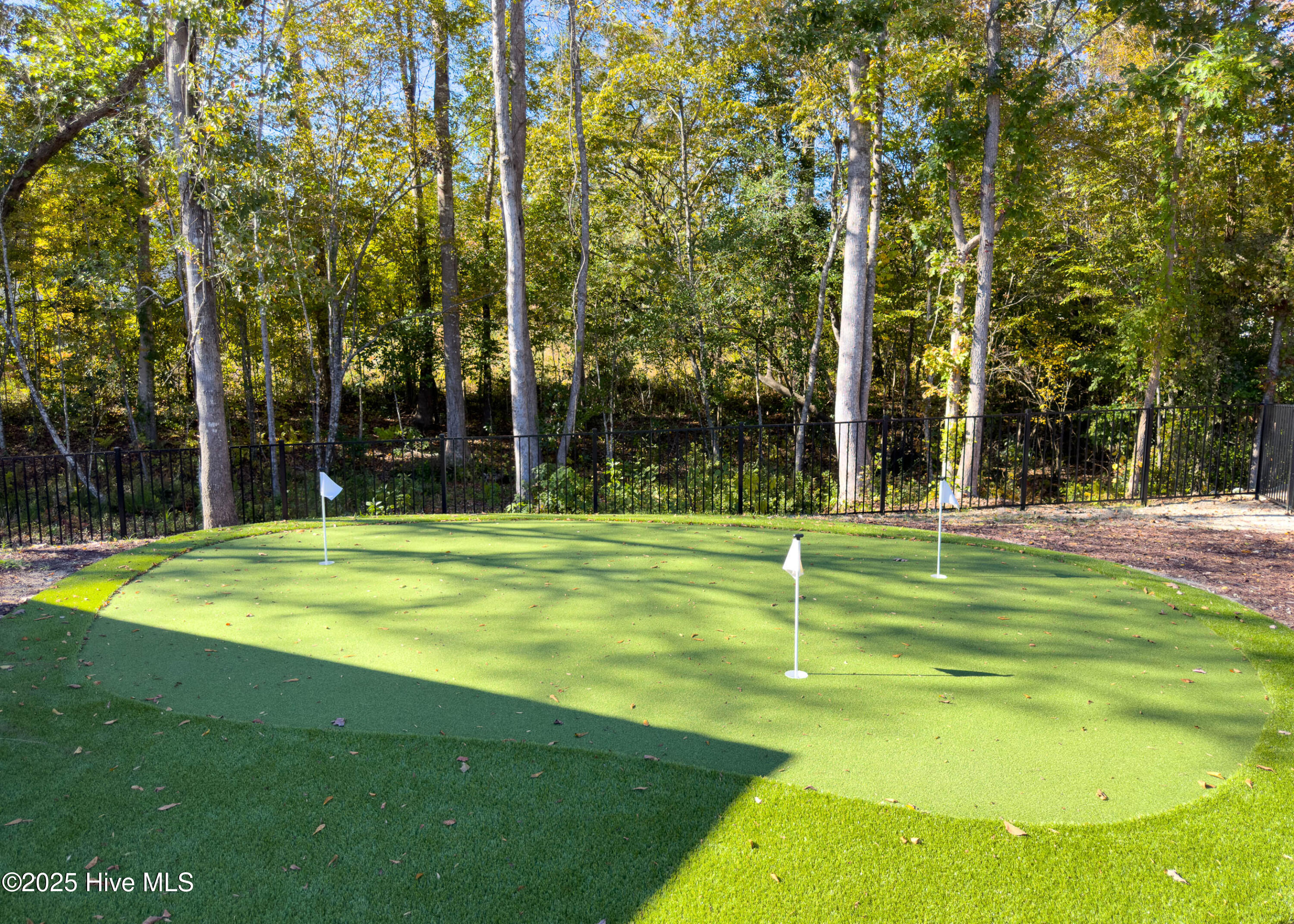 100539739 | Photo 57