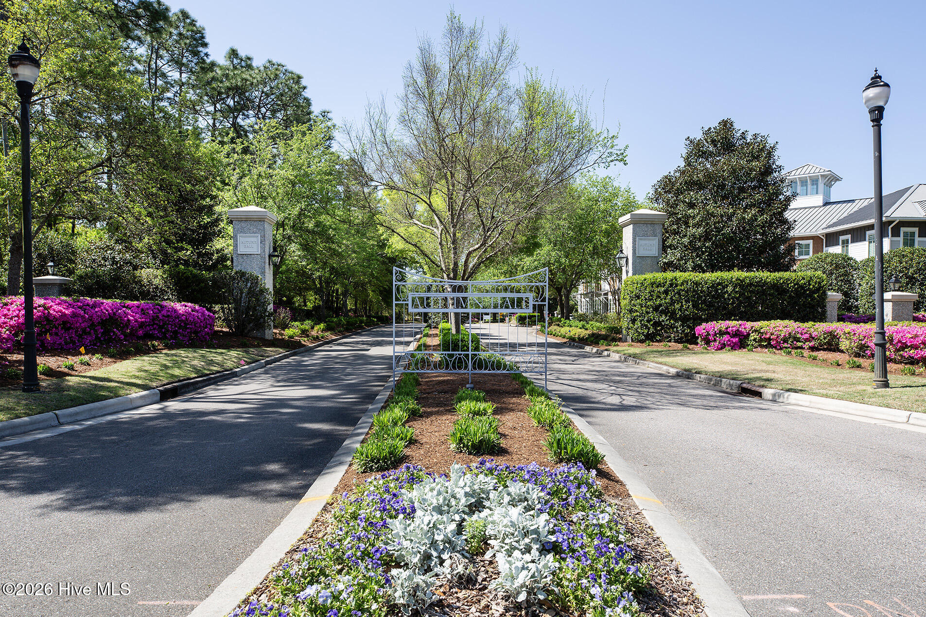 100563719 | Photo 67