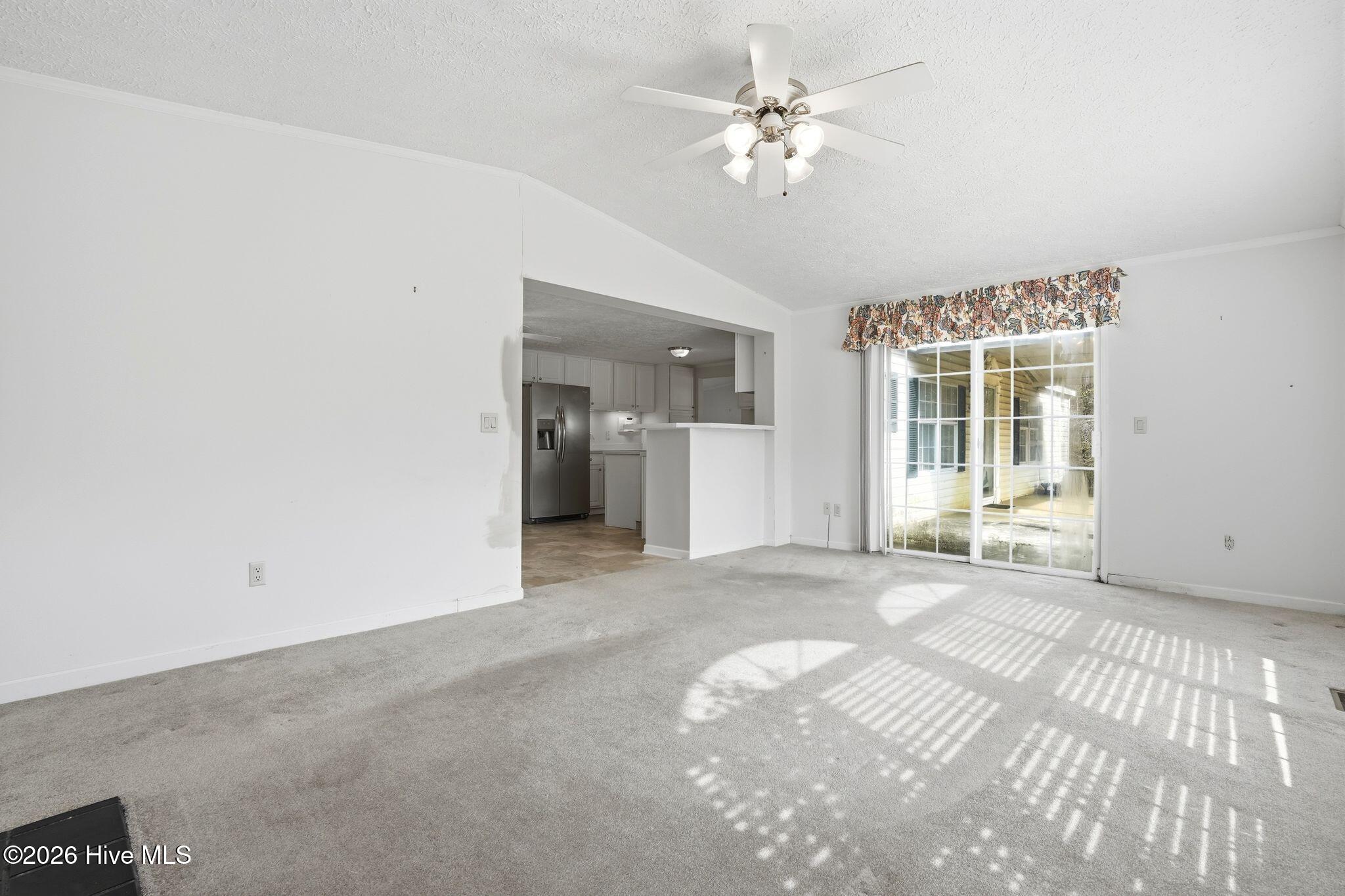 100556115 | Photo 53