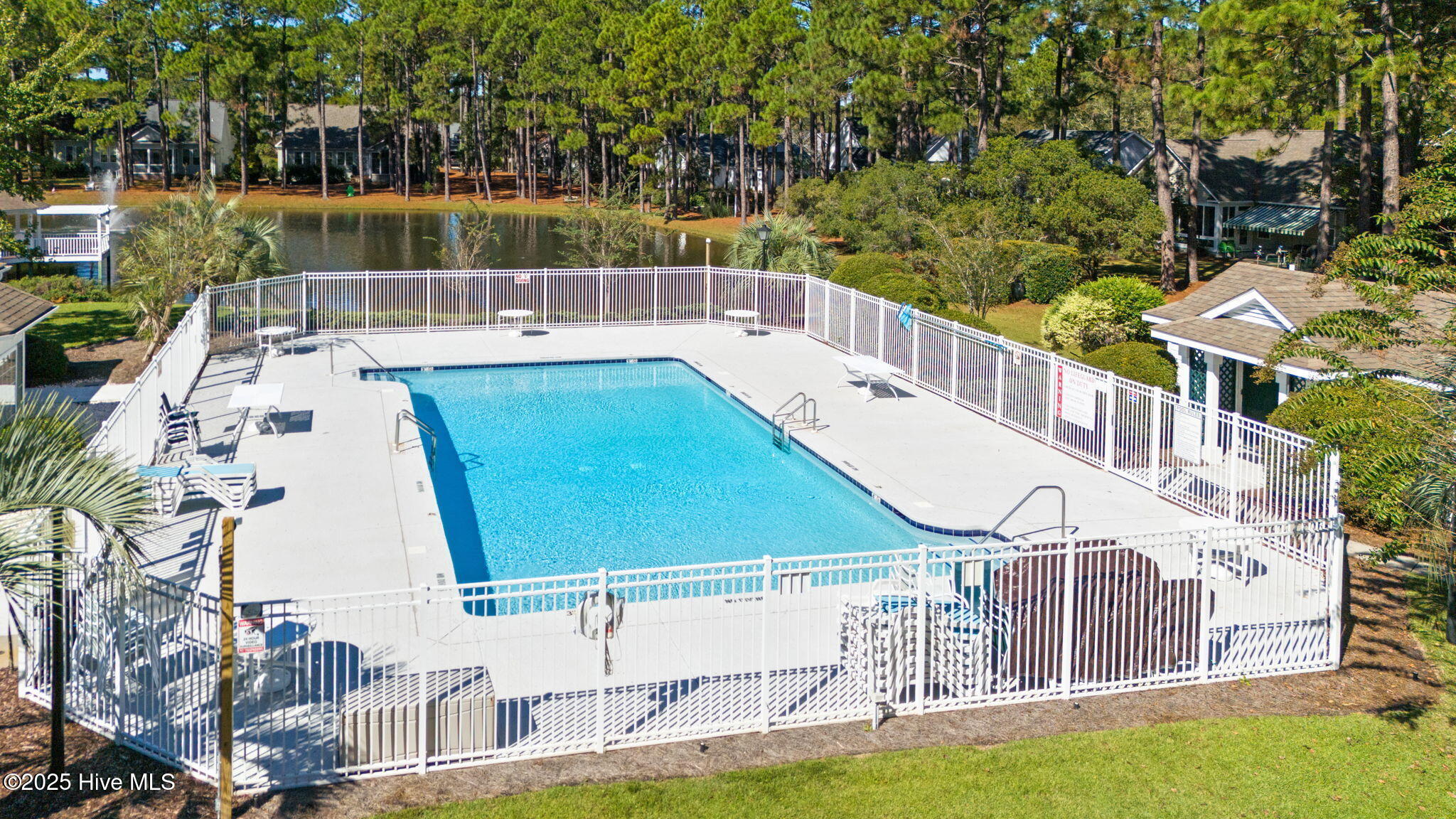 100539831 | Photo 42