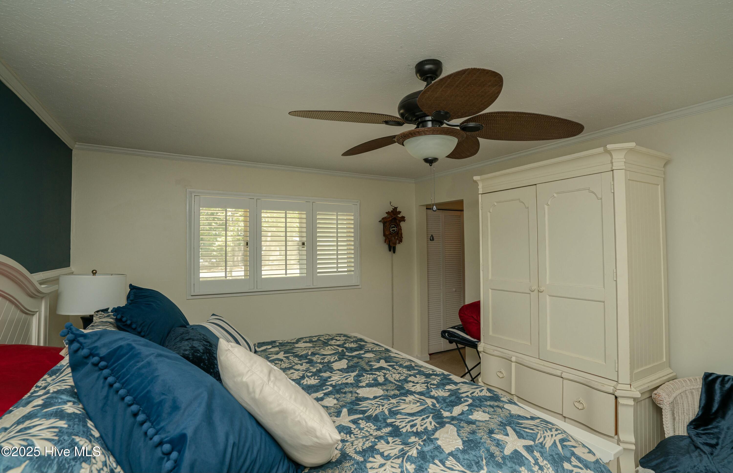 100502250 | Photo 34