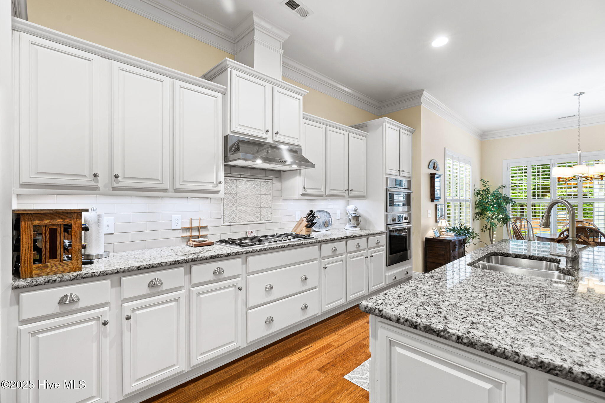 100508421 | Photo 11