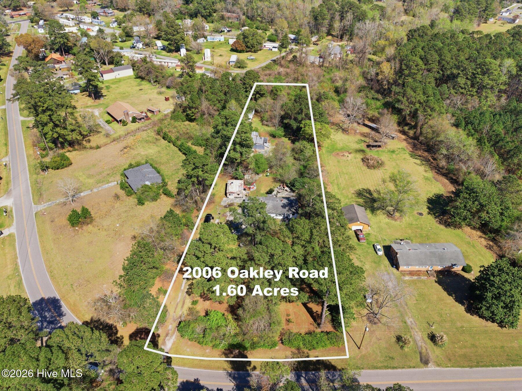 100562175 | Photo 16