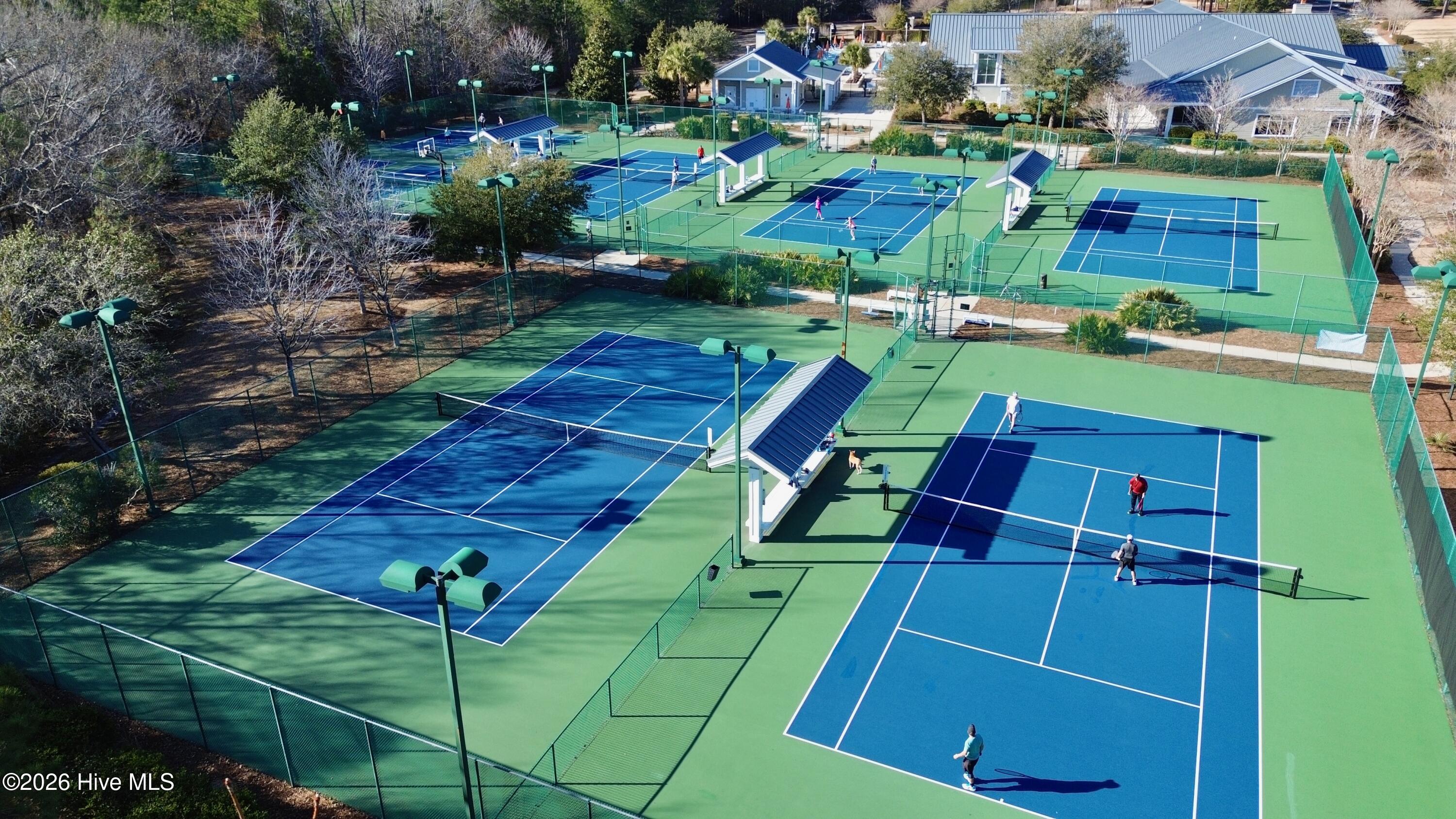 100557593 | Photo 42