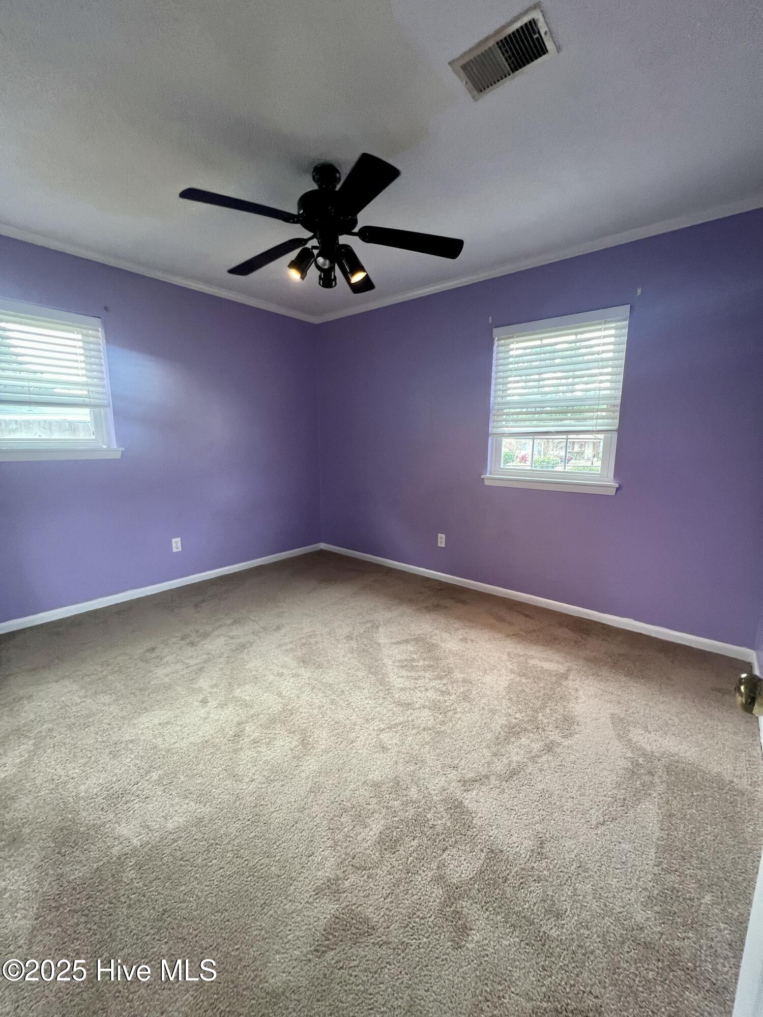 100544802 | Photo 11