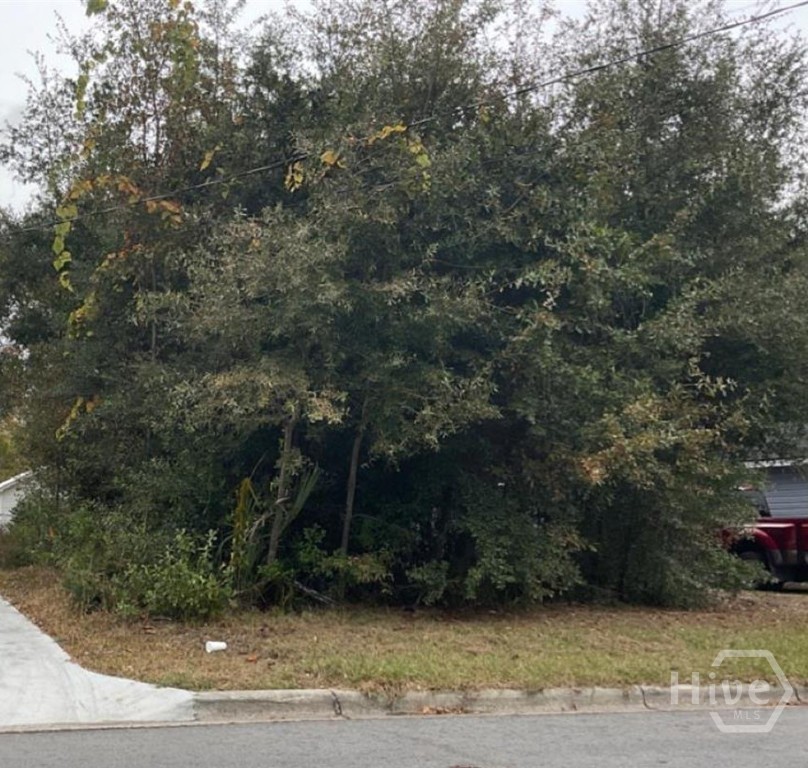 1st image of 0 Dixon St, Savannah, GA 31405 | MLS# SA356114