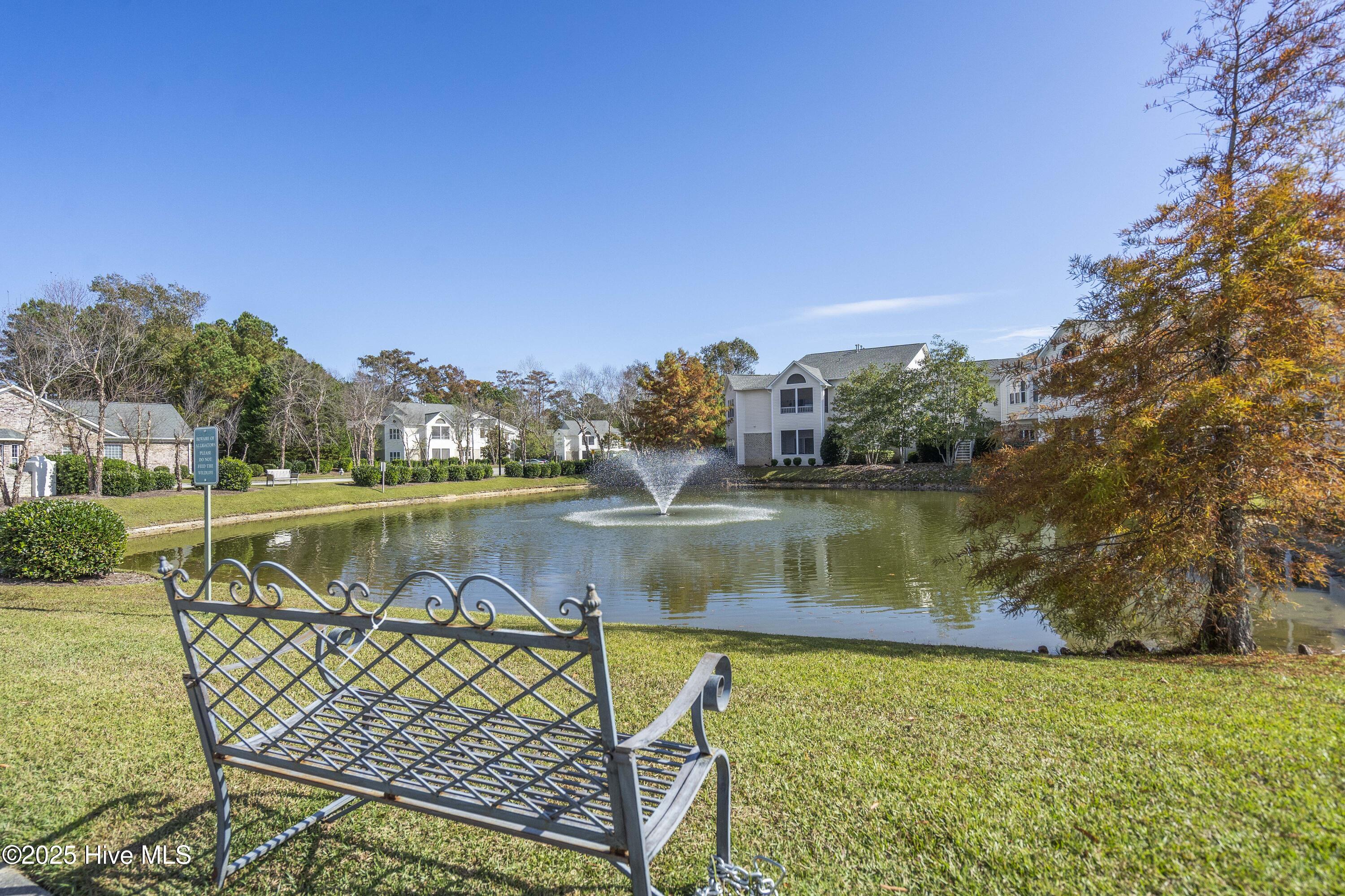 100541442 | Photo 33