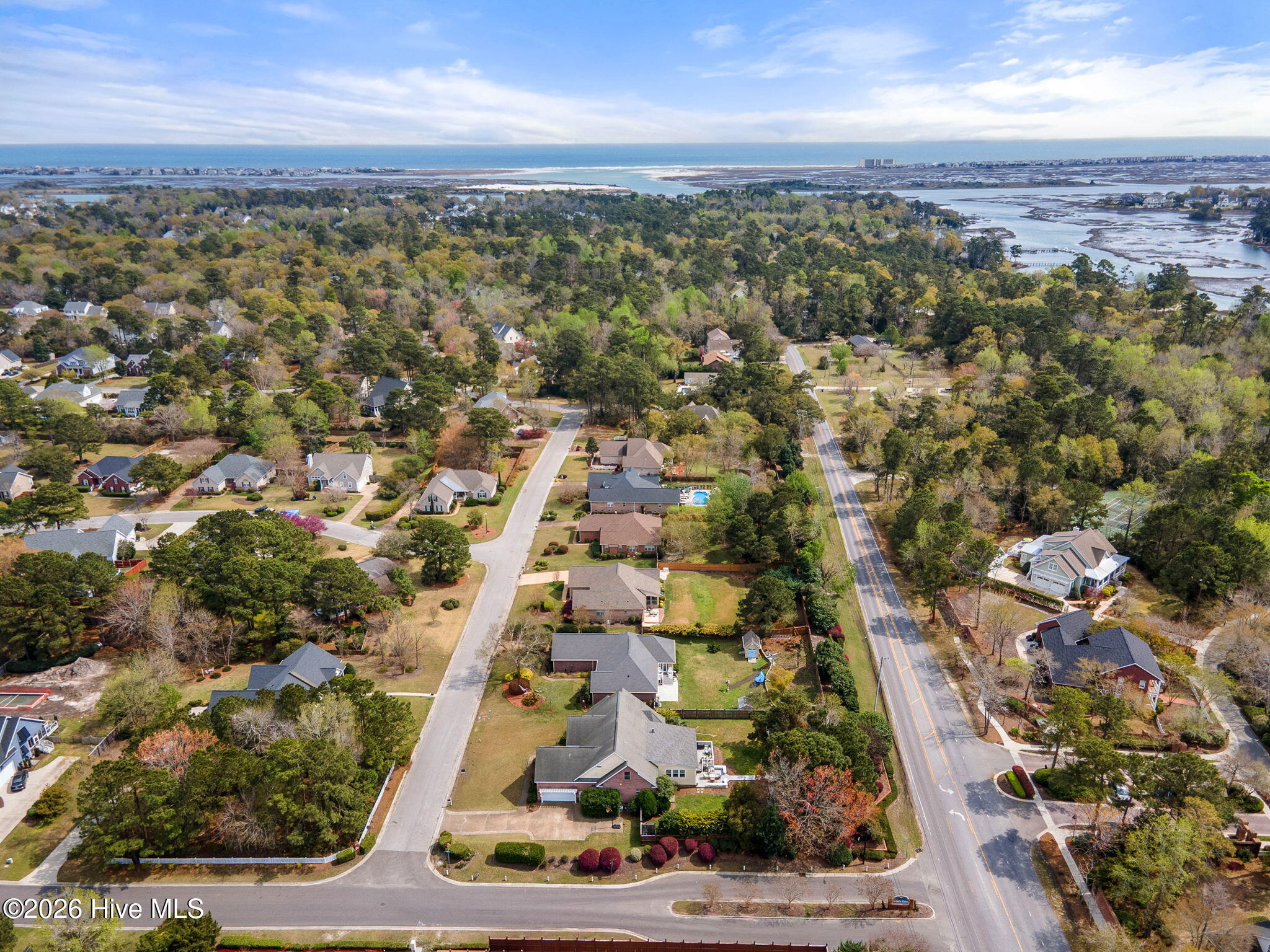 100561515 | Photo 122