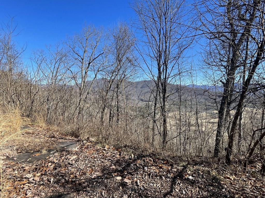 Listing Photo 98539851