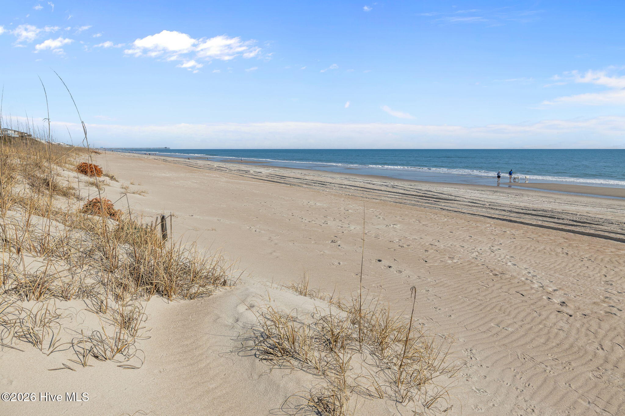 100557807 | Photo 36