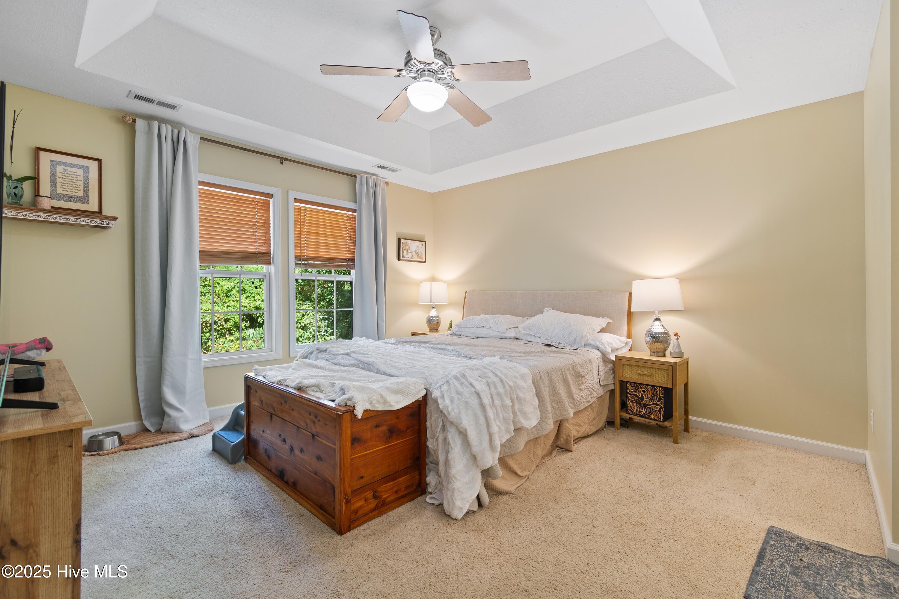 100517176 | Photo 19