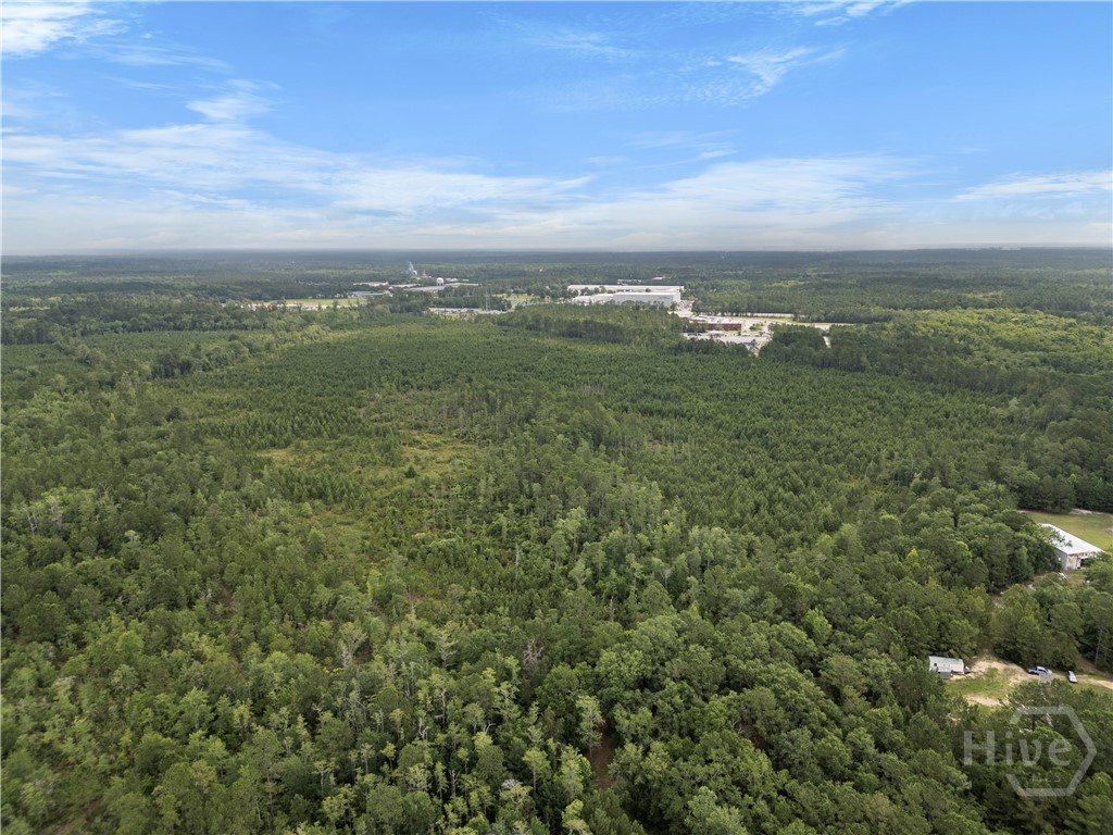 0 Rahn Station Road, Rincon, GA, 31326