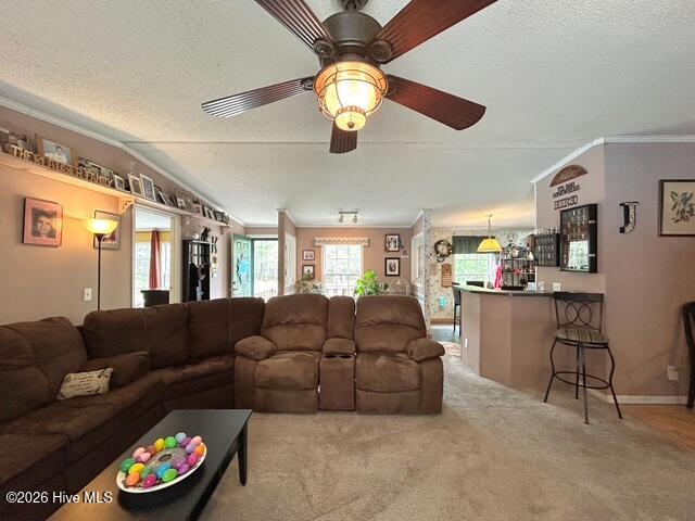 100566420 | Photo 47