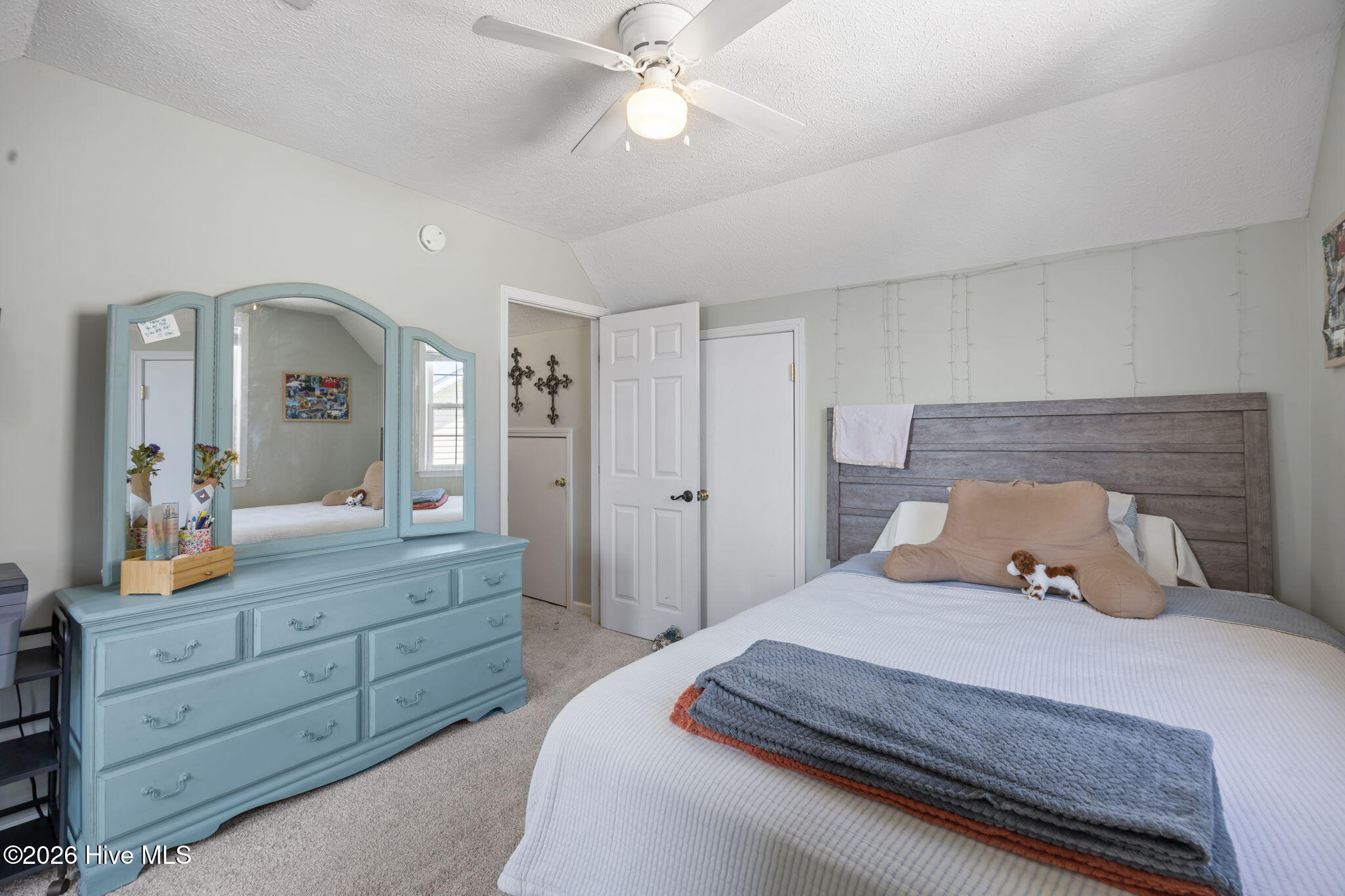 100566425 | Photo 25